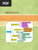 PROTEINAS