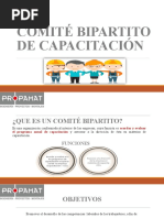 Comité Bipartito de Capacitaciòn