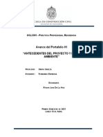 Avance Del Portafolio 01 "Antecedentes Del Proyecto Y Medio Ambiente"