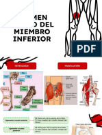 Examen Físico de Miembro Inferior