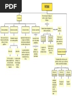 Mapa Conceptual Proteinas