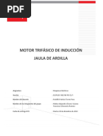 Informe - 8 - Motor Jaula de Ardilla