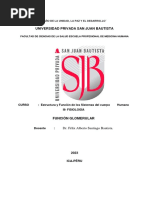 Universidad Privada San Juan Bautista: Facultad de Ciencias de La Salud Escuela Profesional de Medicina Humana