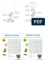 Clase Ciencias Plantas