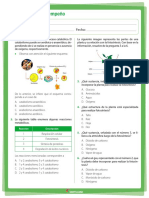 Evaluación de Desempeño: Nombre: Grado: Fecha