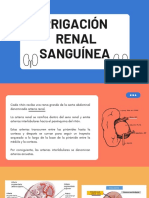 Irrigación Renal Sanguínea