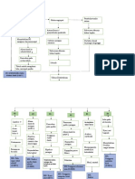 Woc Ulkus Diabetik