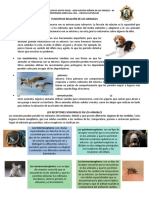 La Función de Relación en Los Animales 100423