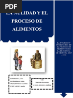 La Nulidad y El Proceso de Alimentos