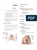 Anaphy Cardiovascular System