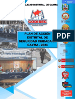 Formulacion Del Plan de Accion Distrital de Seguridad Ciudadana Cayma 2023