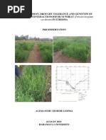 Genetic Erosion, Drought Tolerance and Genotype by Environmentinteractionofdurum Wheat (Triticum Turgidum