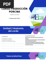 Tema 4. Producción Porcina