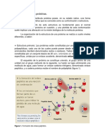 2) Estructura de Las Proteínas.: Figura 1. Formación Del Enlace Peptídico