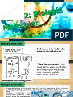 Biologia Molecular 1 P