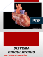 Unidad 4 SISTEMA CIRCULATORIO