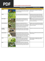 Insectos Benéficos para El Huerto