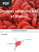 Groupes Sanguins ABO Et Rhésus