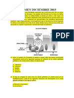 Examen Diciembre 2015