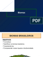 Biomas Brasileiros