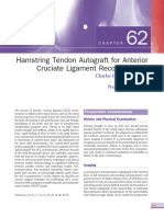 Hamstring Tendon Autograft For Anterior Cruciate Ligament Reconstruction