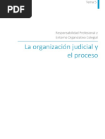 La Organización Judicial y El Proceso