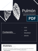 Pulmón 