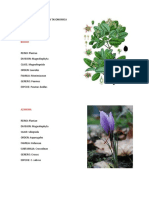 Clasificacion Taxonomica