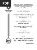 Estudio de Conificación de Agua en Yacimientos Naturalmente Fracturados