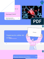 Neurotransmisión en El Sistema Nervioso Central: Morales Ortega Lydia Sofia Santiago Crabioto Perla Jocelyne