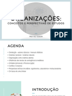 Aula 1 - Organizações