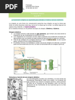Transmisión Sináptica