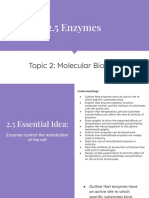 2.5 Enzymes