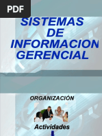 Sistema de Informacion Gerencial Generalidades