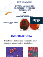 Sesion de Enterobacterias Parte 1