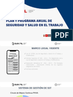 Plan y Programa Anual de Seguridad y Salud 