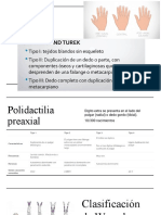 POLIDACTILIA