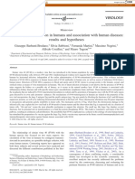 Simian Virus 40 Infection in Humans and Association With Human Diseases: Results and Hypotheses