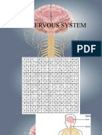 The Nervous System