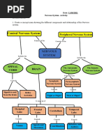 Activities For Nervous and Reproductive System