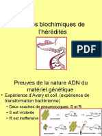 Base de L'heredité