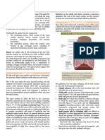 Respiratory Epithelium: Human Histology Lecture Chapter 17 Ï The Respiratory System