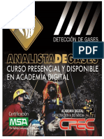 Manual de Analista de Gases