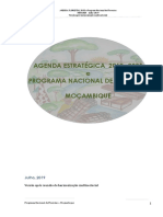 Agenda Estratégica 2019 - 2035 e Programa Nacional de Florestas Moçambique