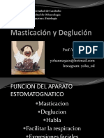 Masticación y Deglución PDF