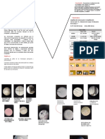 Practica2 - Microscopio y Micrometria - Equipo4