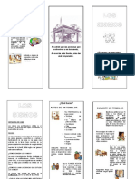 LOS Sismos: Después de Un Temblor