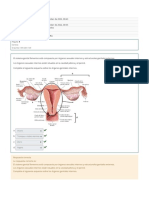 Guía de TP Virtual Nº10 - Sistema Reproductor Femenino - Revisión Del Intento