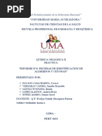 Informe de Quimica Organica Practica 6 Identificación de Cetonas y Aldehidos