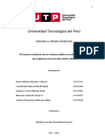 Informe Final Del Curso de Individuo Del Medio Ambiente